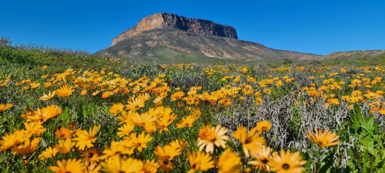Mountain View Guesthouse Vanrhynsdorp Extérieur photo