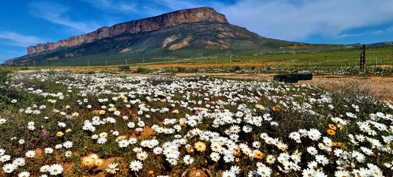 Mountain View Guesthouse Vanrhynsdorp Extérieur photo